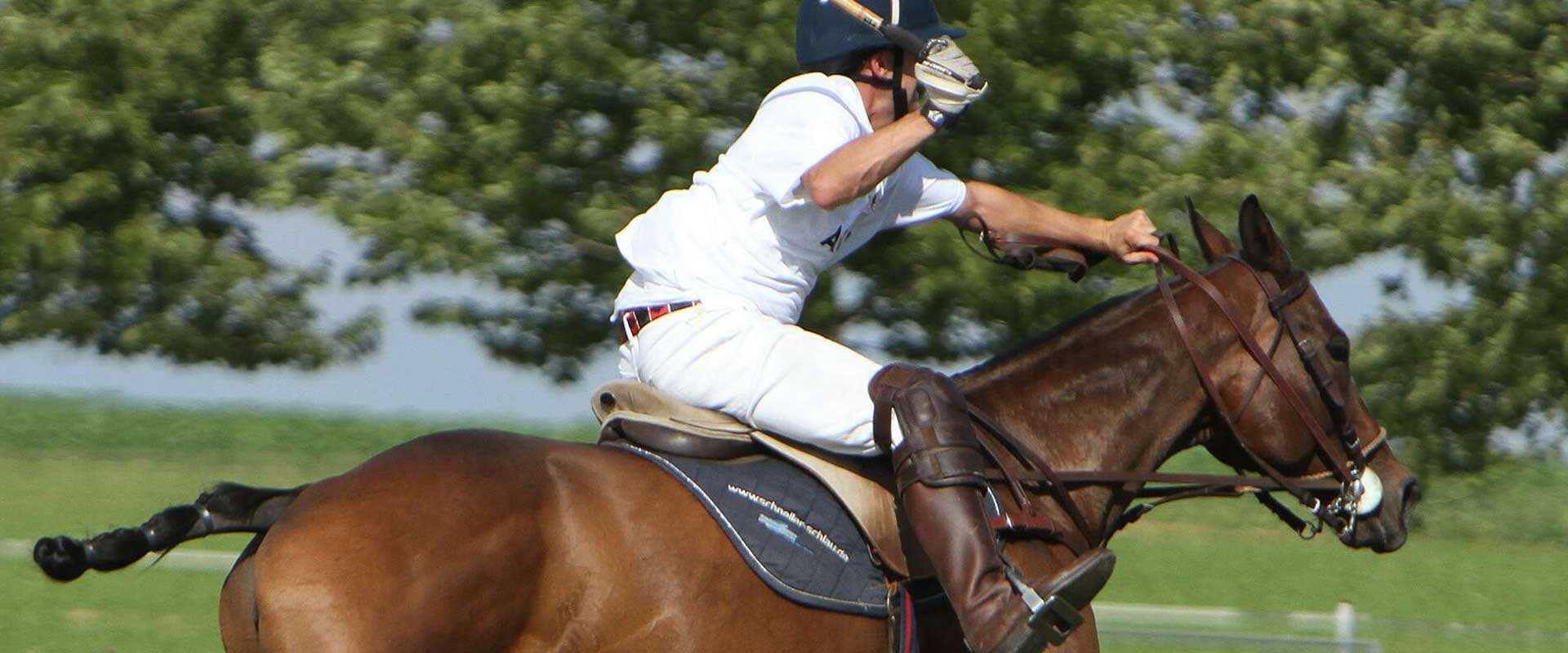 El Sur Polo